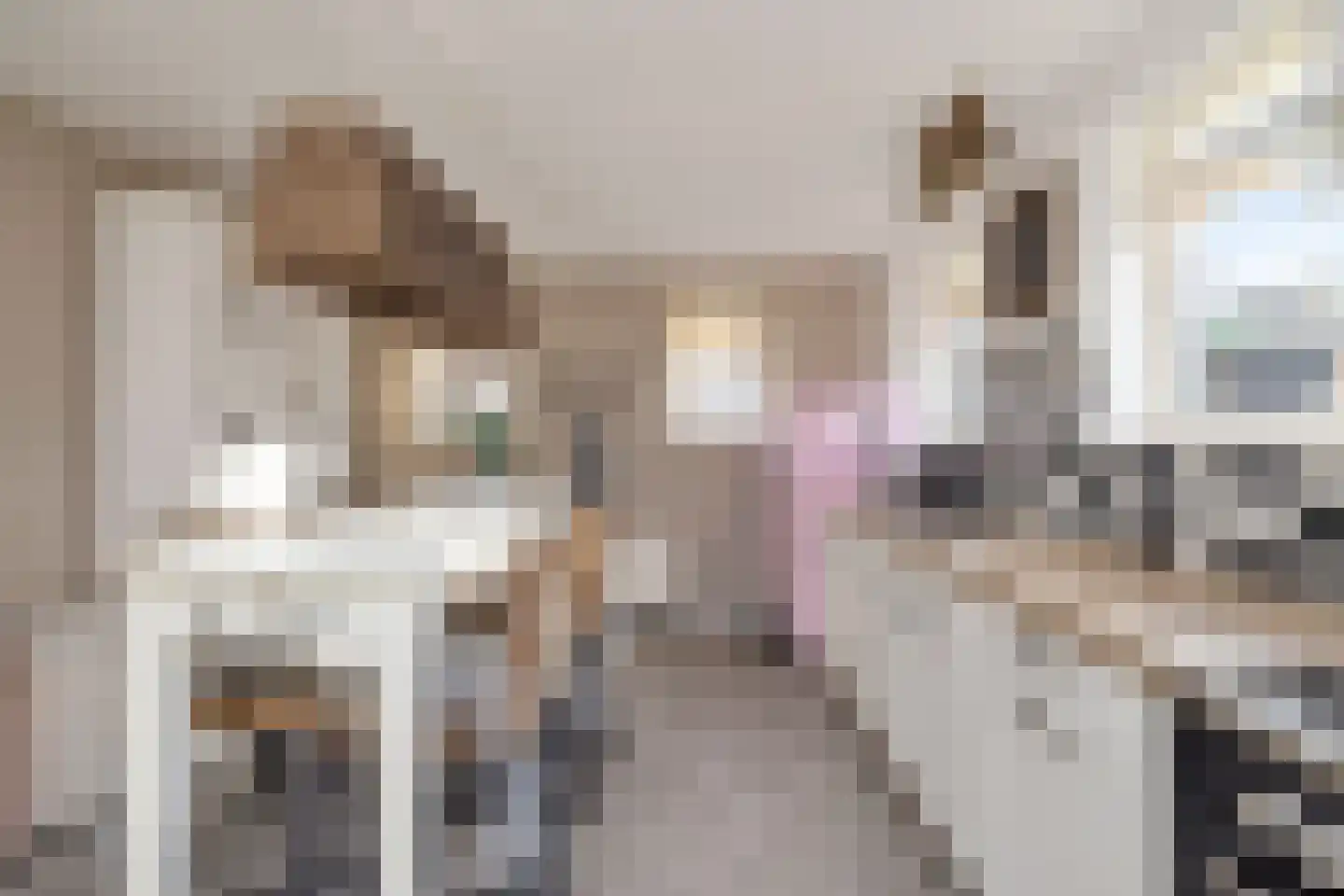 Oosterstraat 42 Ruinen thumbnail 13
