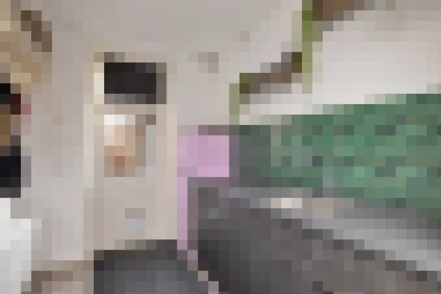 Oosterstraat 42 Ruinen thumbnail 14