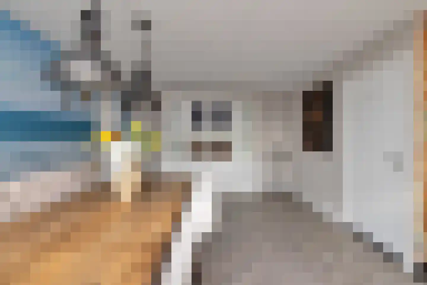 Oosterstraat 42 Ruinen thumbnail 16