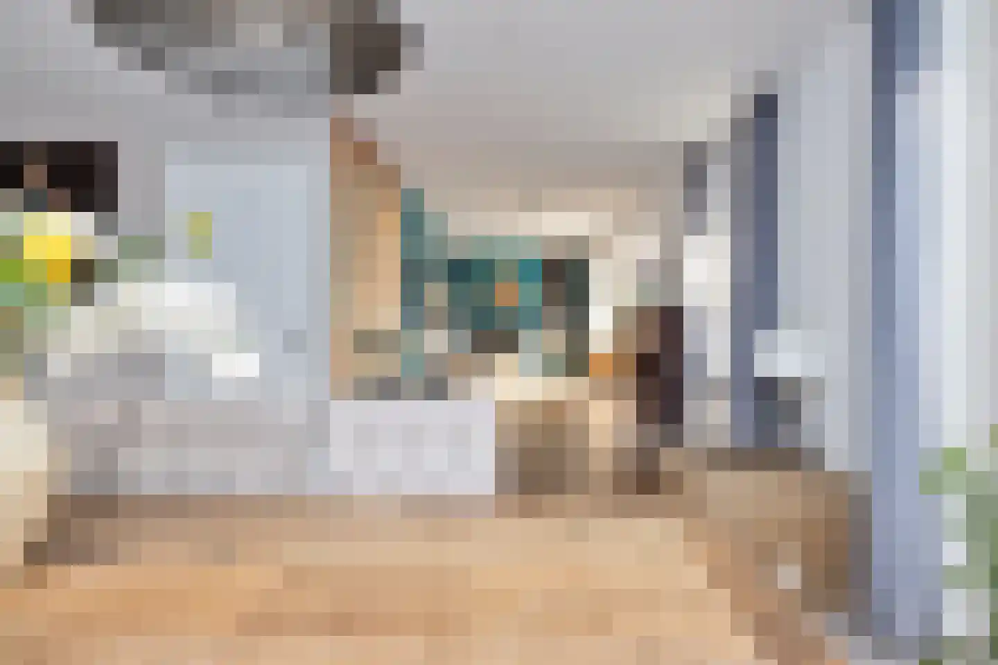 Oosterstraat 42 Ruinen thumbnail 18