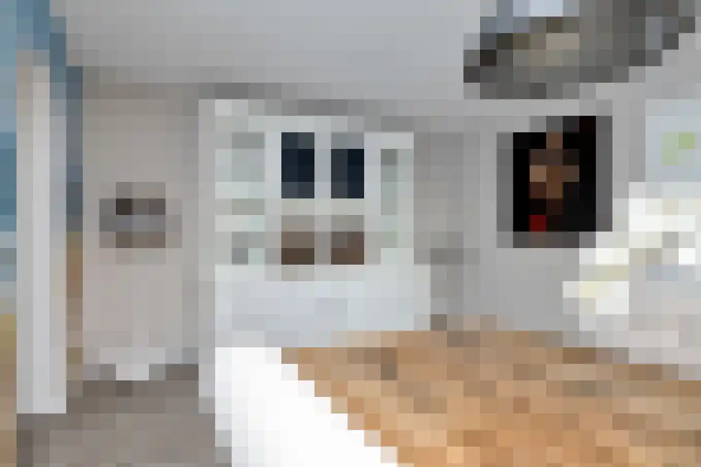 Oosterstraat 42 Ruinen thumbnail 19