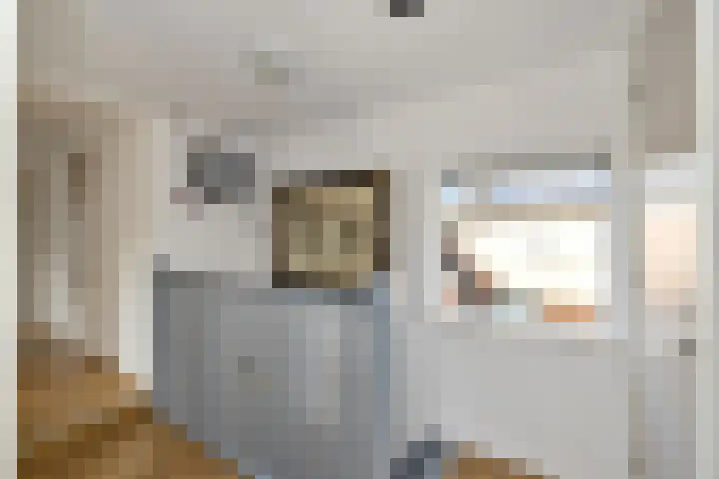 Oosterstraat 42 Ruinen thumbnail 22