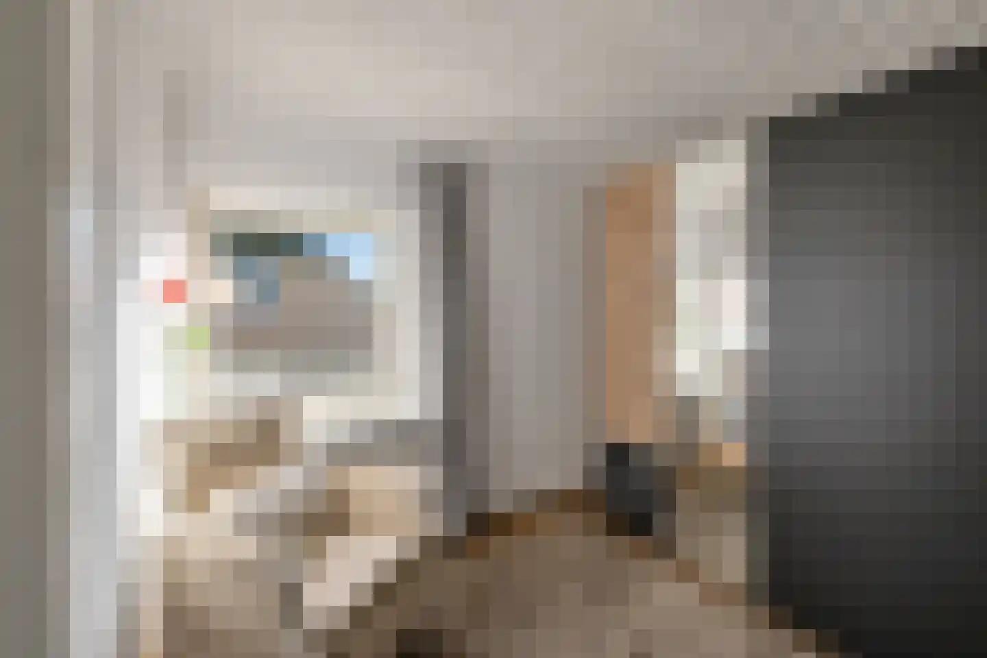 Oosterstraat 42 Ruinen thumbnail 30