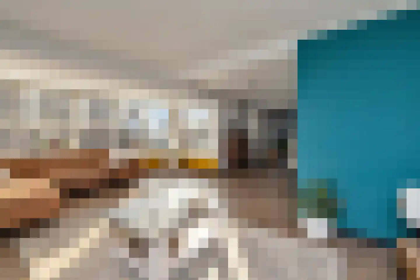 Oosterstraat 42 Ruinen thumbnail 9