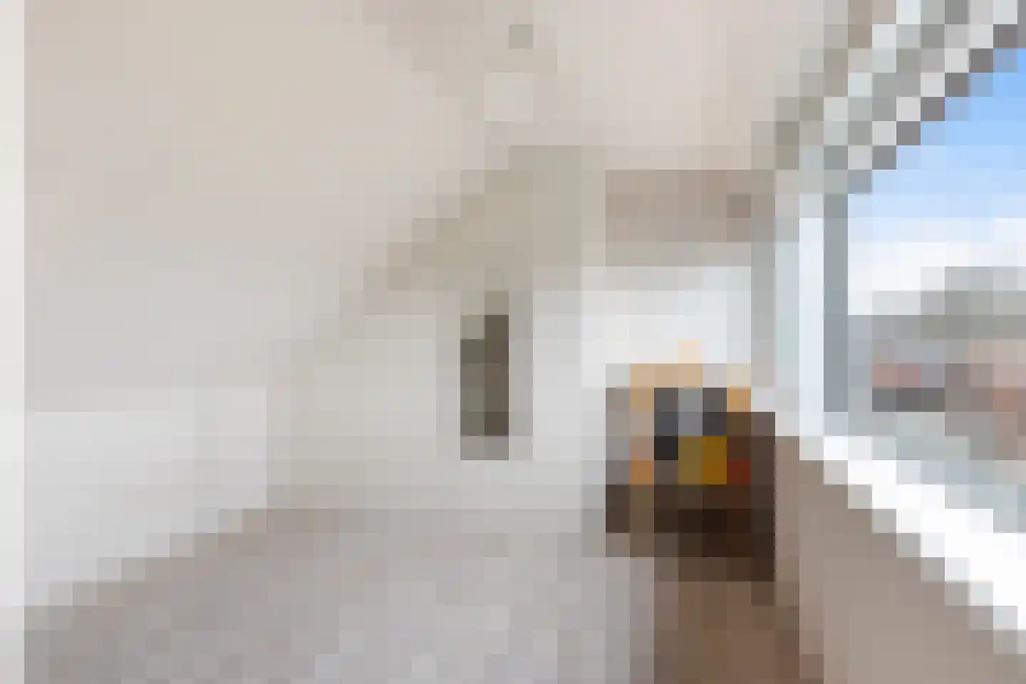 Oosterstraat 48 Krimpen aan den IJssel thumbnail 32