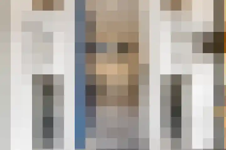 Oosterstraat 50 Groningen thumbnail 4