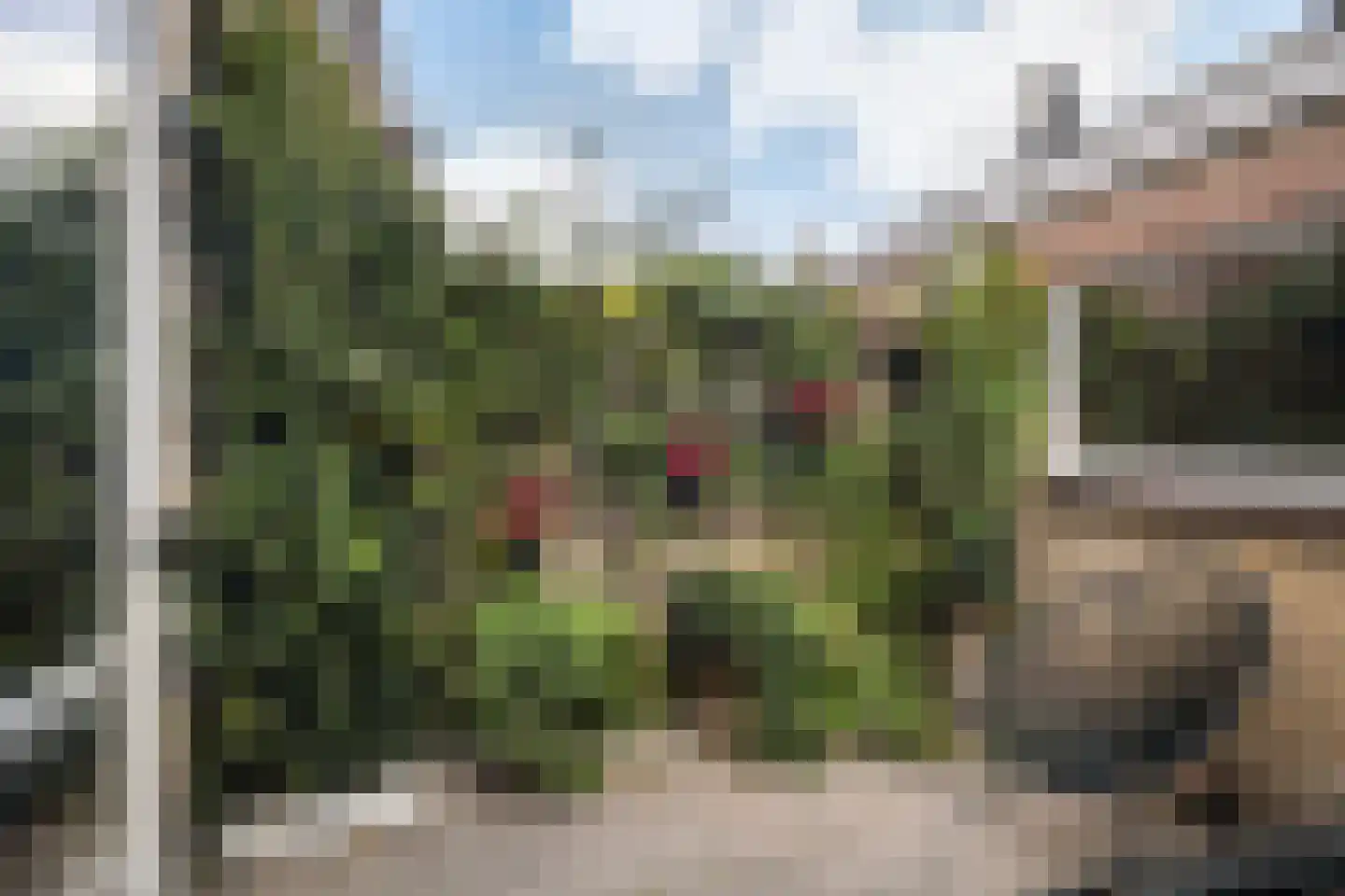 Oosterstraat 51 Vlaardingen thumbnail 25