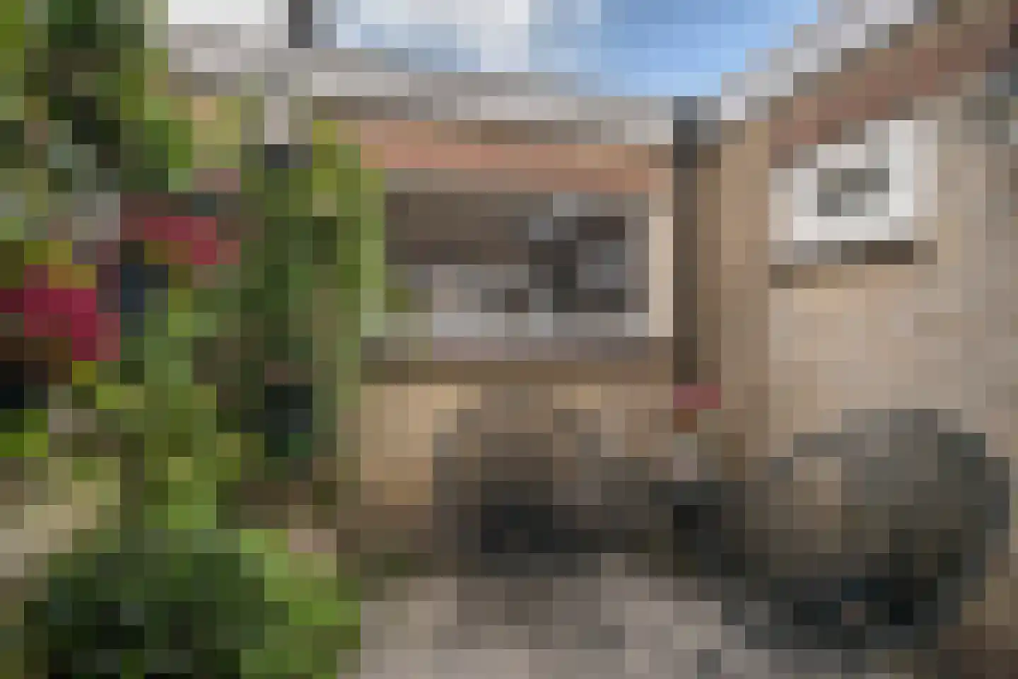 Oosterstraat 51 Vlaardingen thumbnail 26
