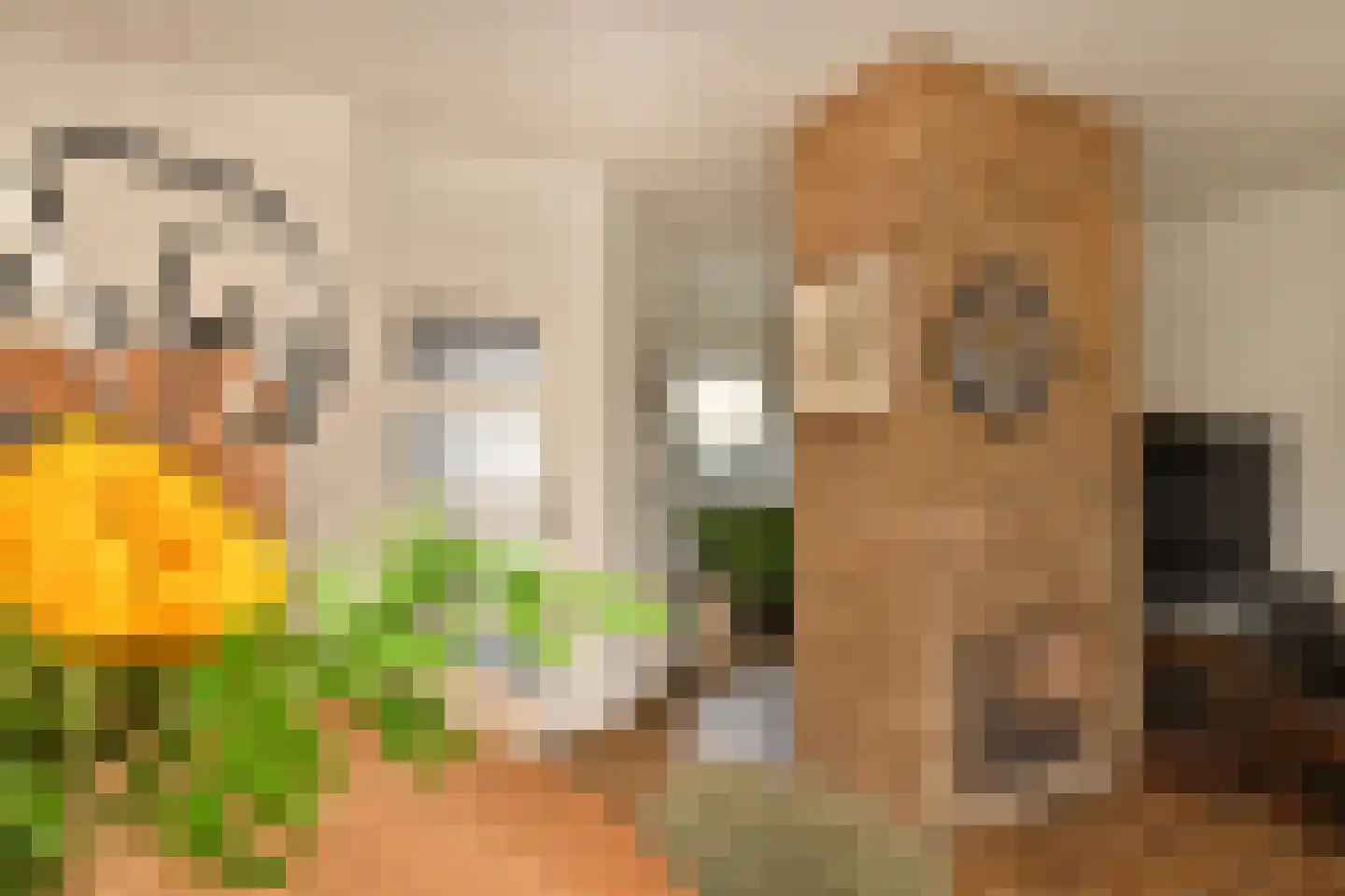 Oosterstraat 56 Dinteloord thumbnail 11