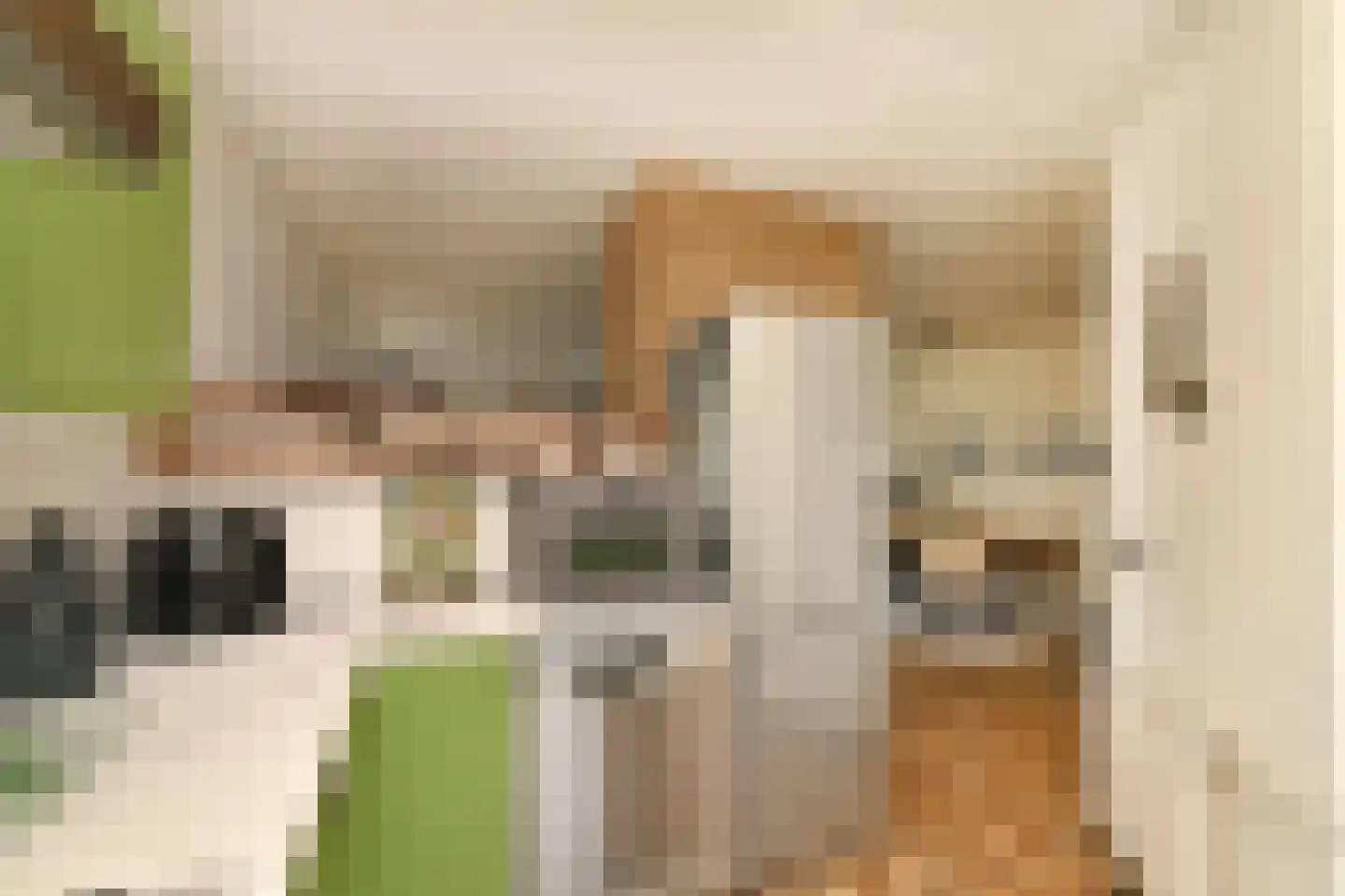 Oosterstraat 56 Dinteloord thumbnail 12