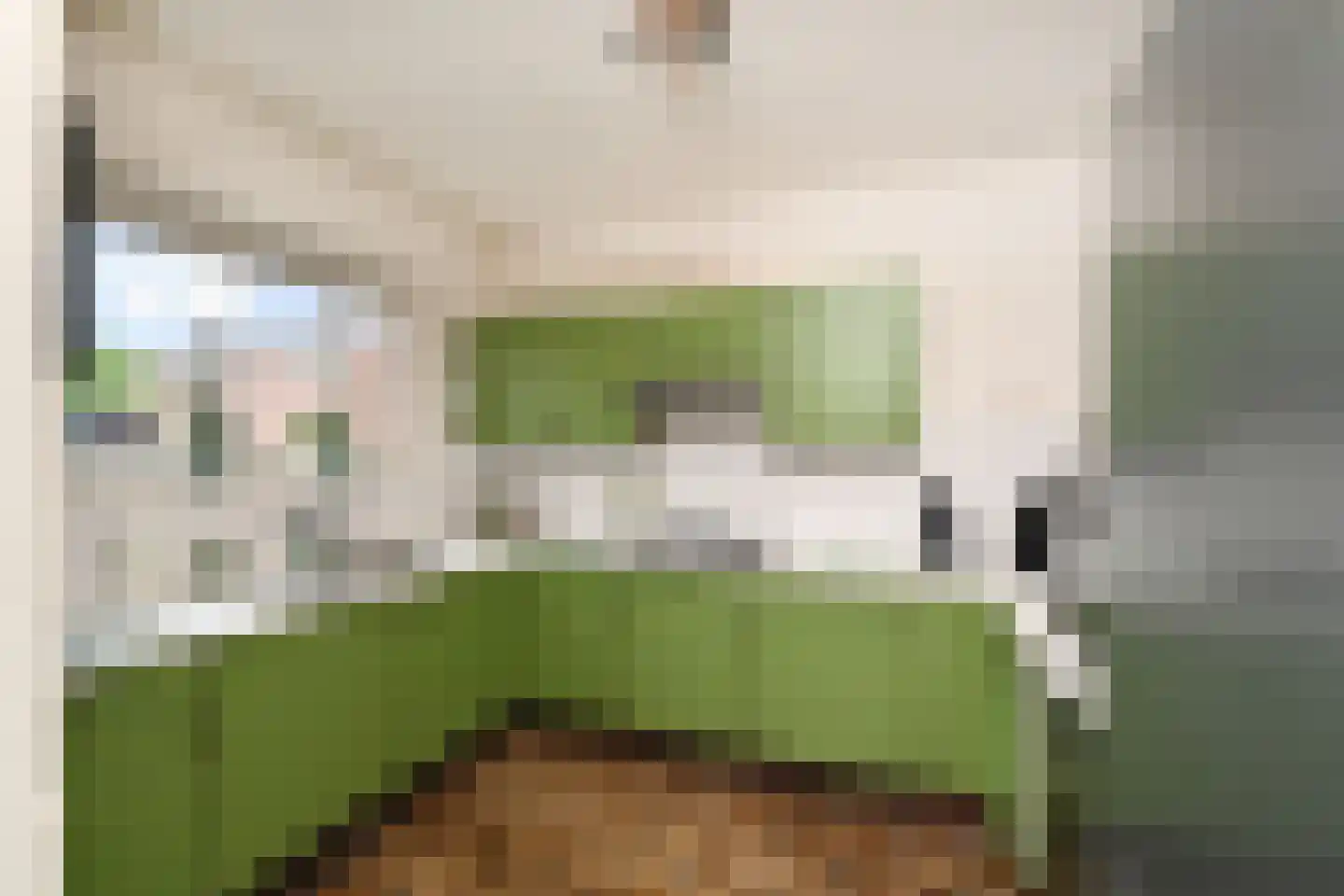 Oosterstraat 56 Dinteloord thumbnail 13