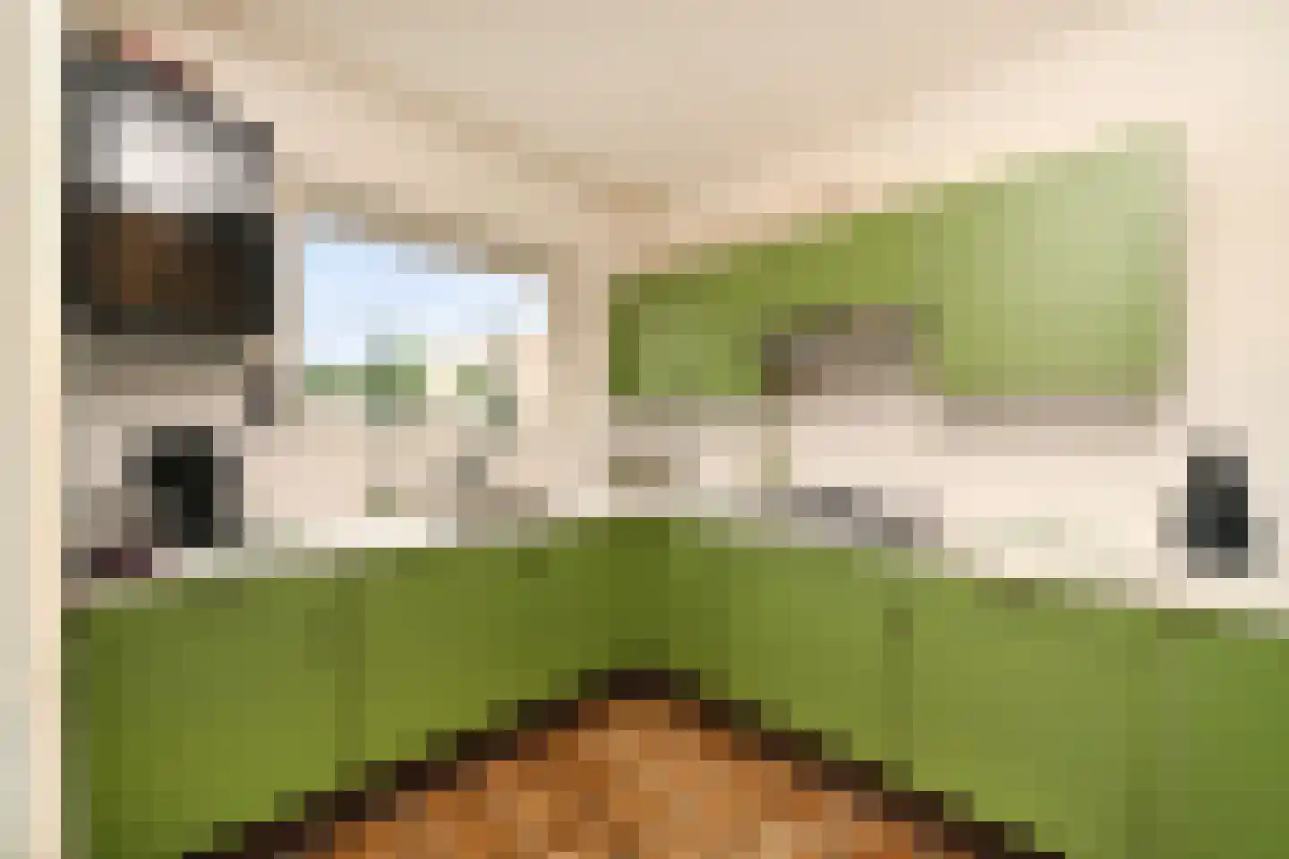 Oosterstraat 56 Dinteloord thumbnail 14