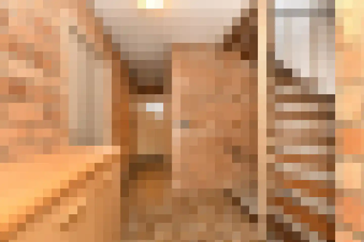 Oosterstraat 56 Dinteloord thumbnail 15