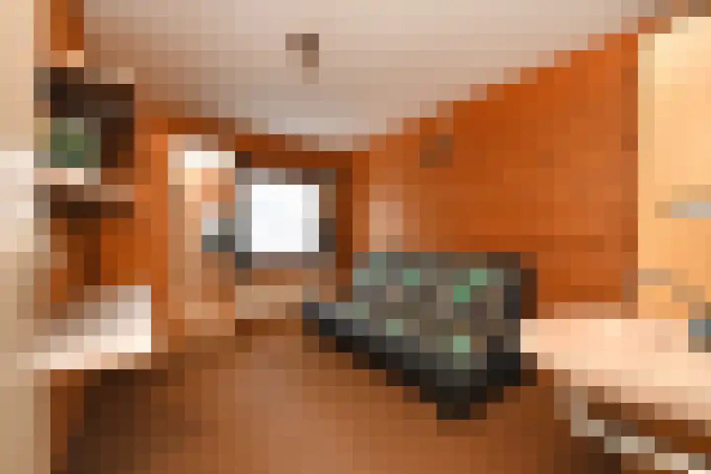 Oosterstraat 56 Dinteloord thumbnail 20
