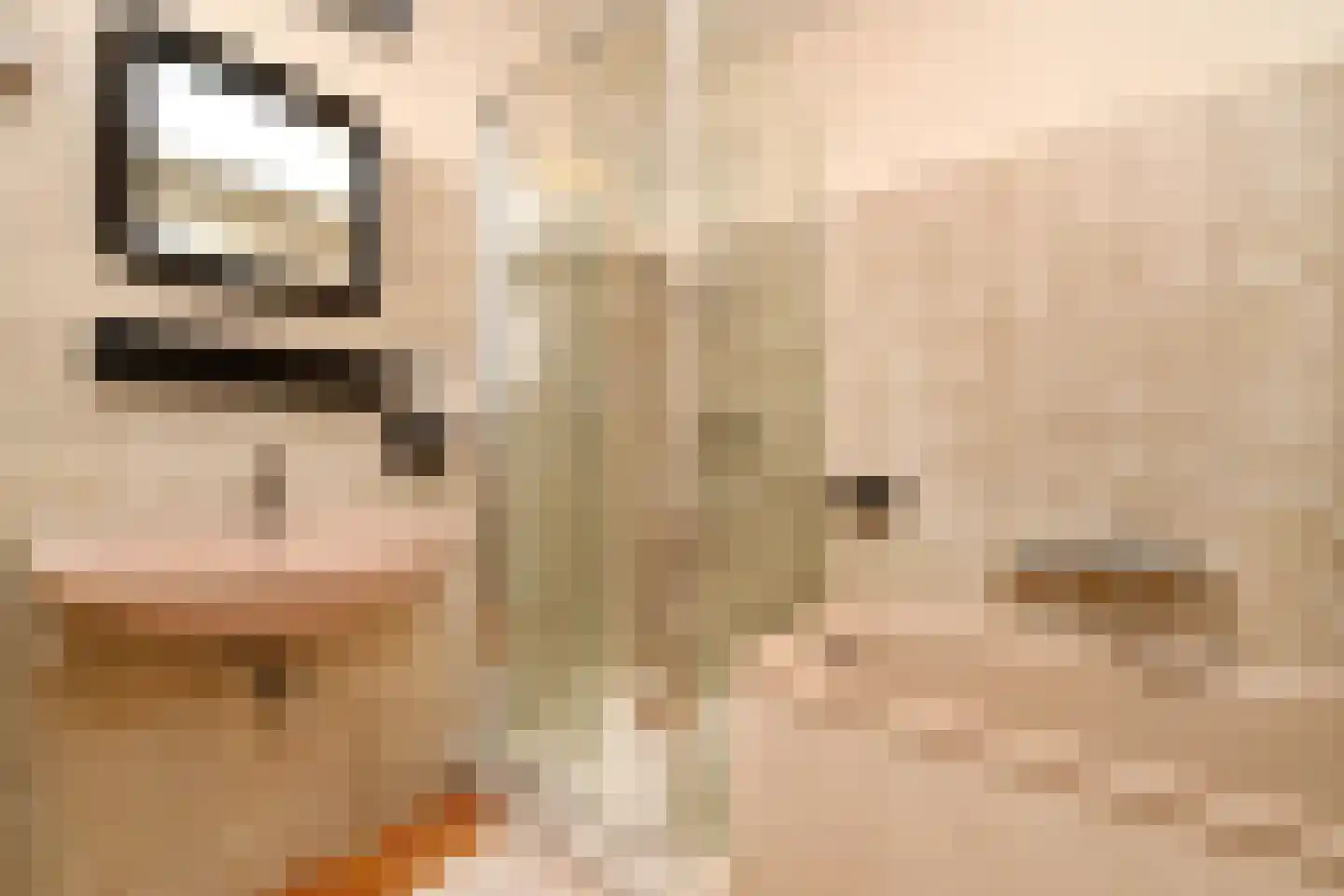Oosterstraat 56 Dinteloord thumbnail 21