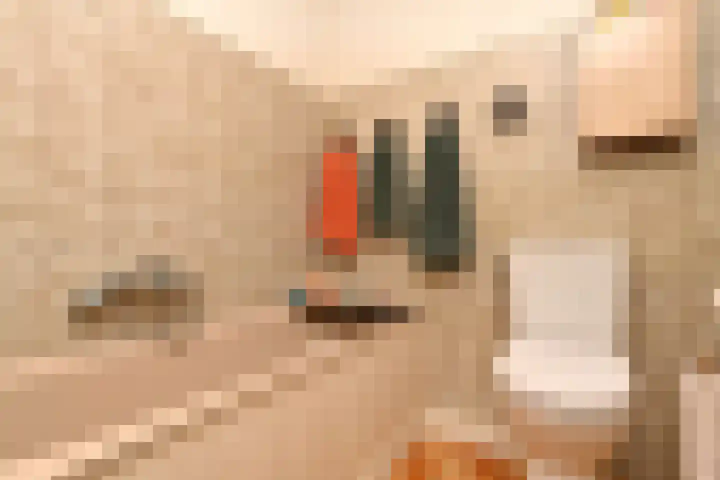 Oosterstraat 56 Dinteloord thumbnail 22