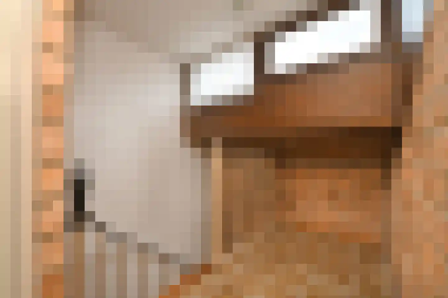 Oosterstraat 56 Dinteloord thumbnail 24