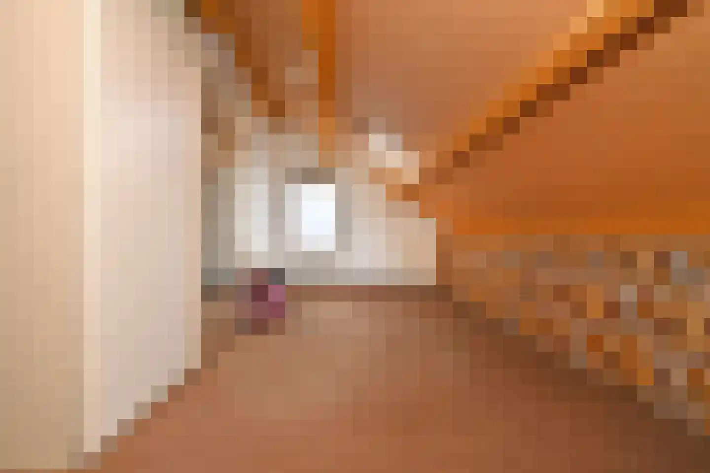 Oosterstraat 56 Dinteloord thumbnail 25
