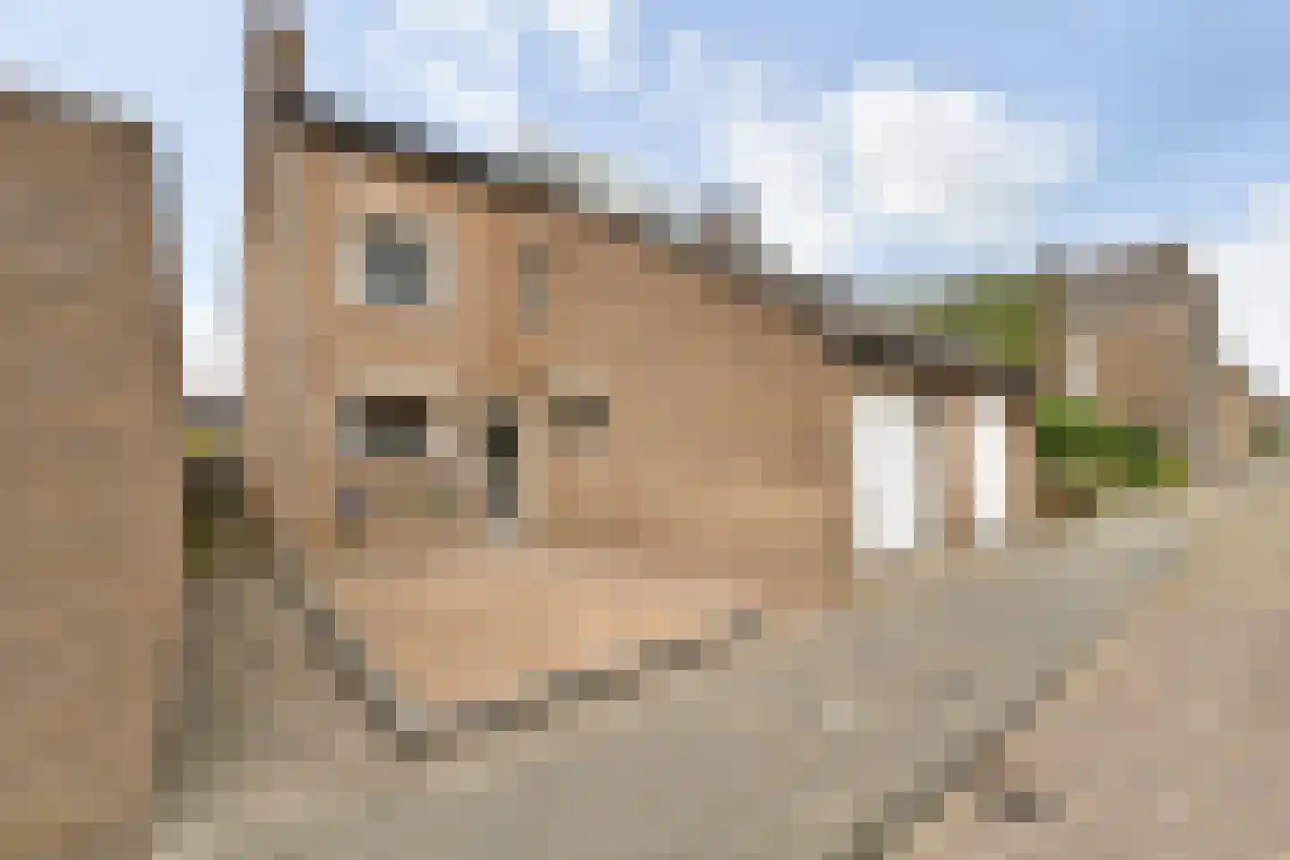 Oosterstraat 56 Dinteloord thumbnail 29