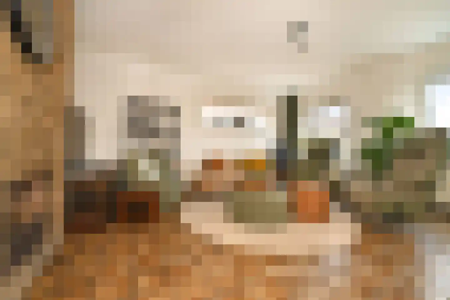 Oosterstraat 56 Dinteloord thumbnail 9