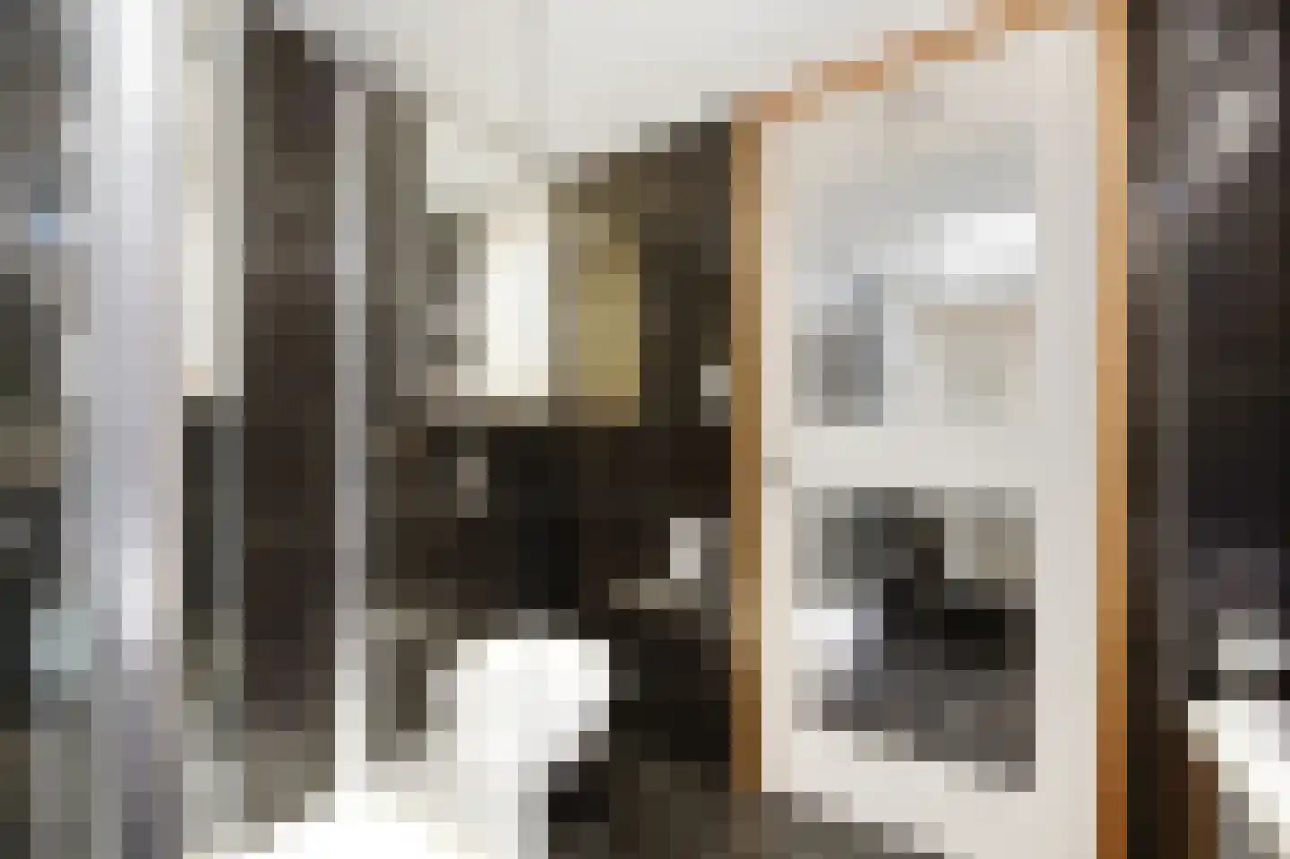 Oosterstraat 57 Delft thumbnail 25