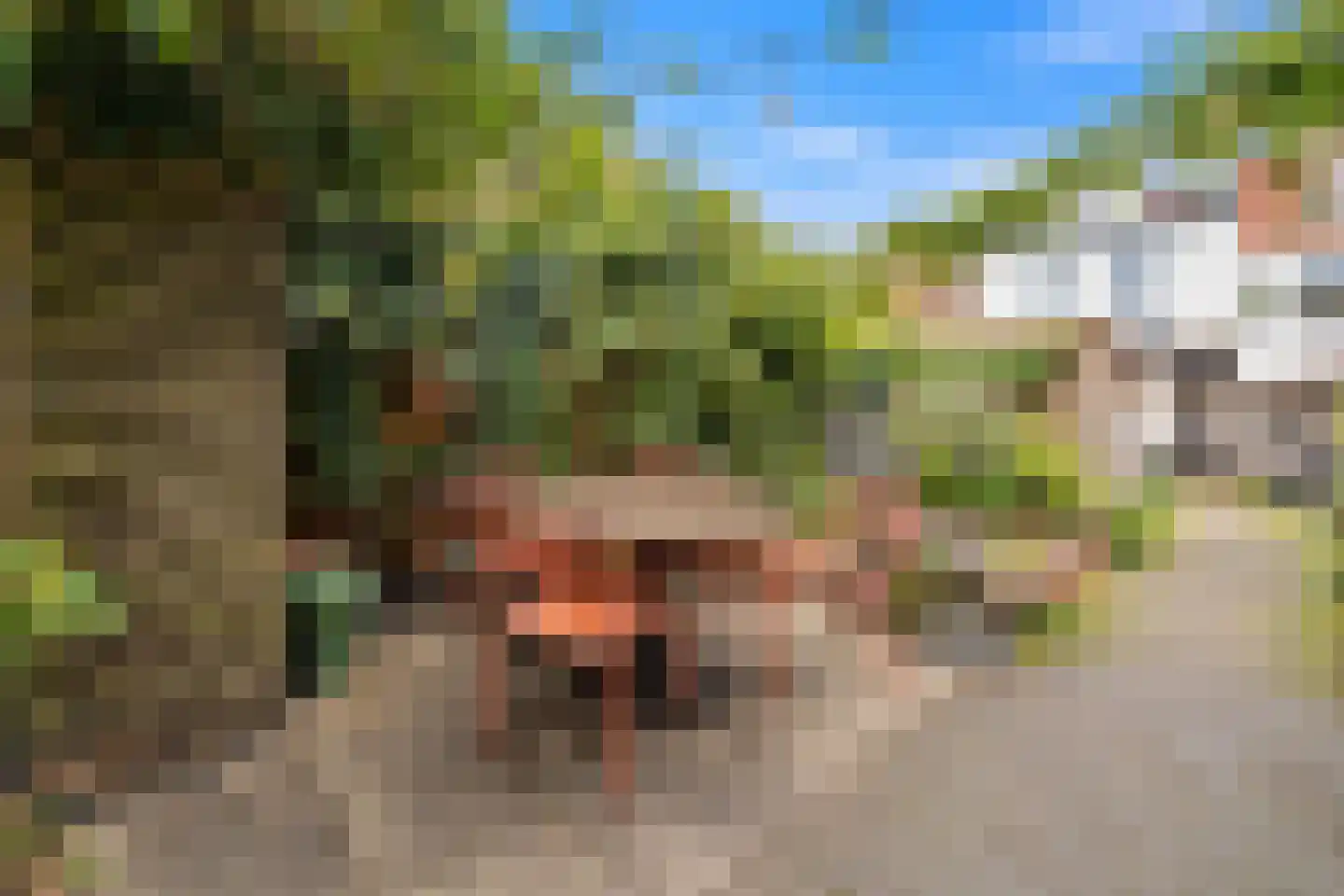 Oosterstraat 57 Delft thumbnail 8