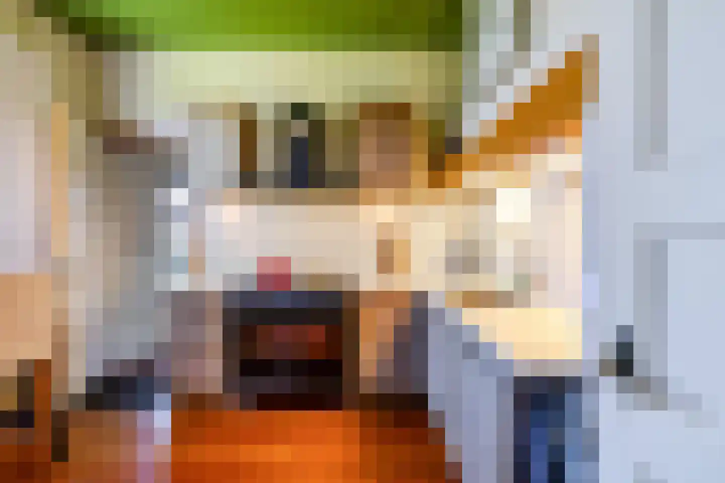 Oosterstraat 58 Warffum thumbnail 20