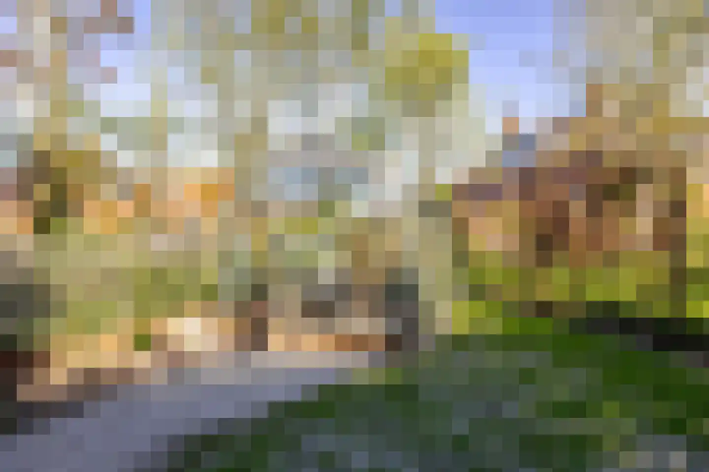 Oosterstraat 58 Warffum thumbnail 38