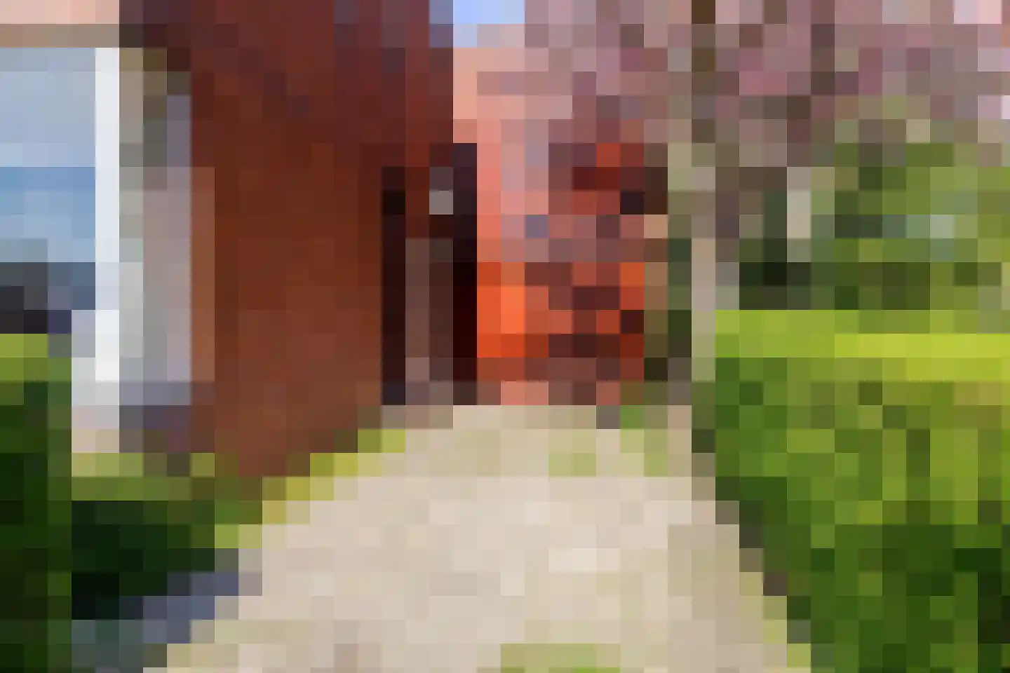 Oosterstraat 58 Warffum thumbnail 8
