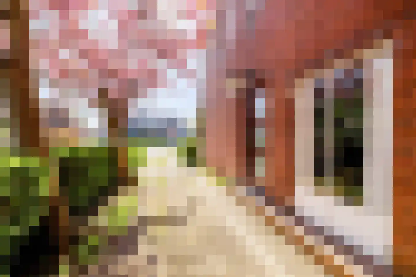 Oosterstraat 58 Warffum thumbnail 9