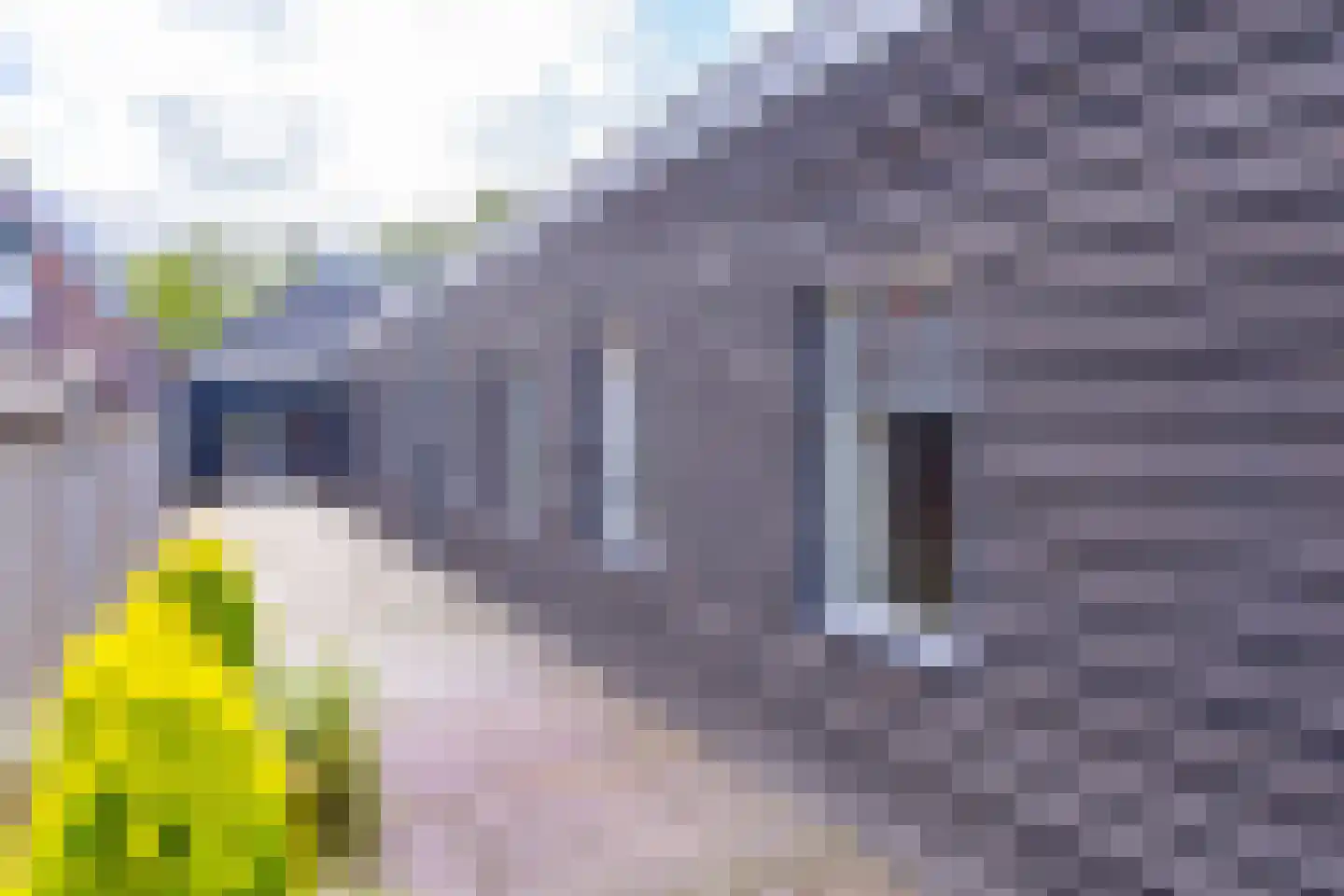 Oosterstraat 59 Stadskanaal thumbnail 53