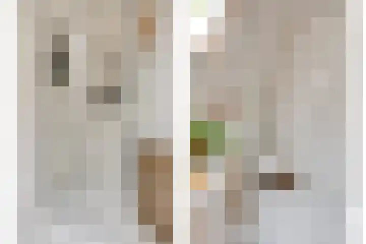 Oosterstraat 6 Axel thumbnail 27