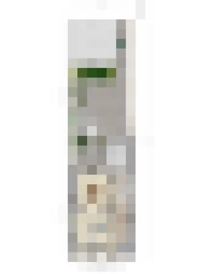 Oosterstraat 6 Axel thumbnail 37