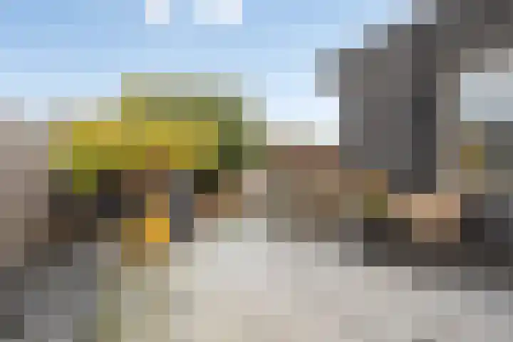 Oosterstraat 6 Axel thumbnail 5