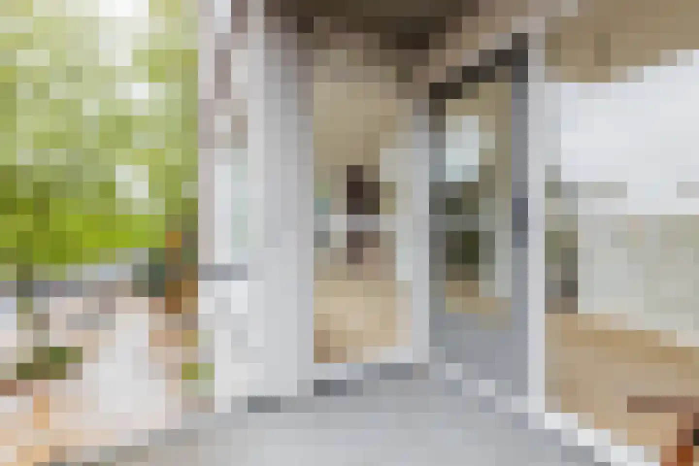 Oosterstraat 60 Groningen thumbnail 20