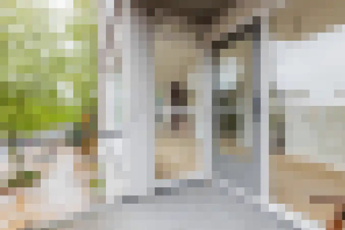 Oosterstraat 60 Groningen thumbnail 24