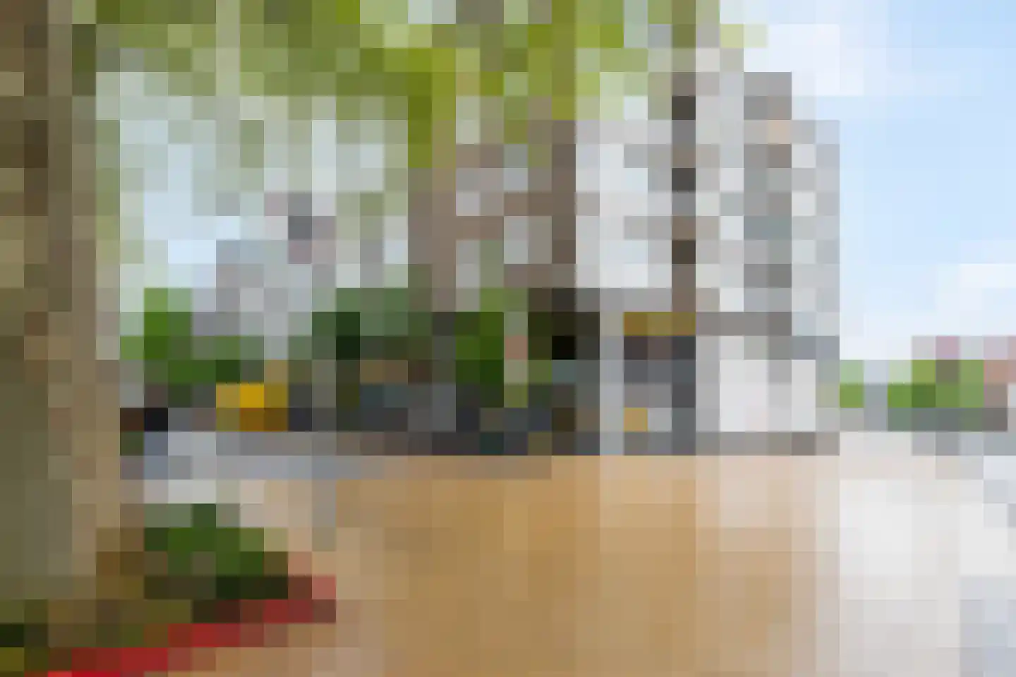 Oosterstraat 60 Groningen thumbnail 6