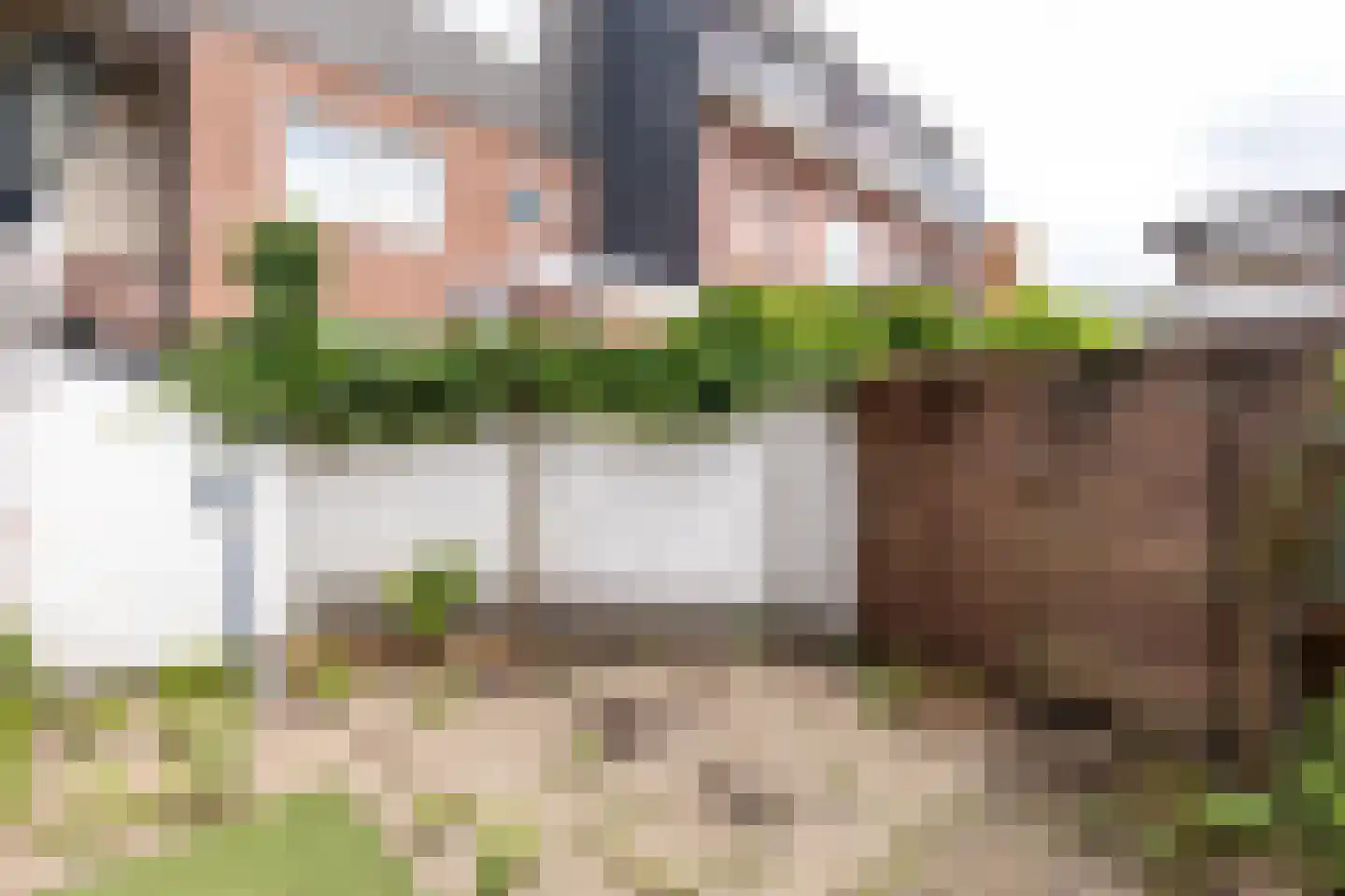 Oosterstraat 60 Haarlem thumbnail 19