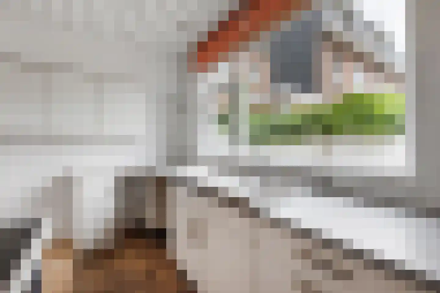Oosterstraat 60 Haarlem thumbnail 8