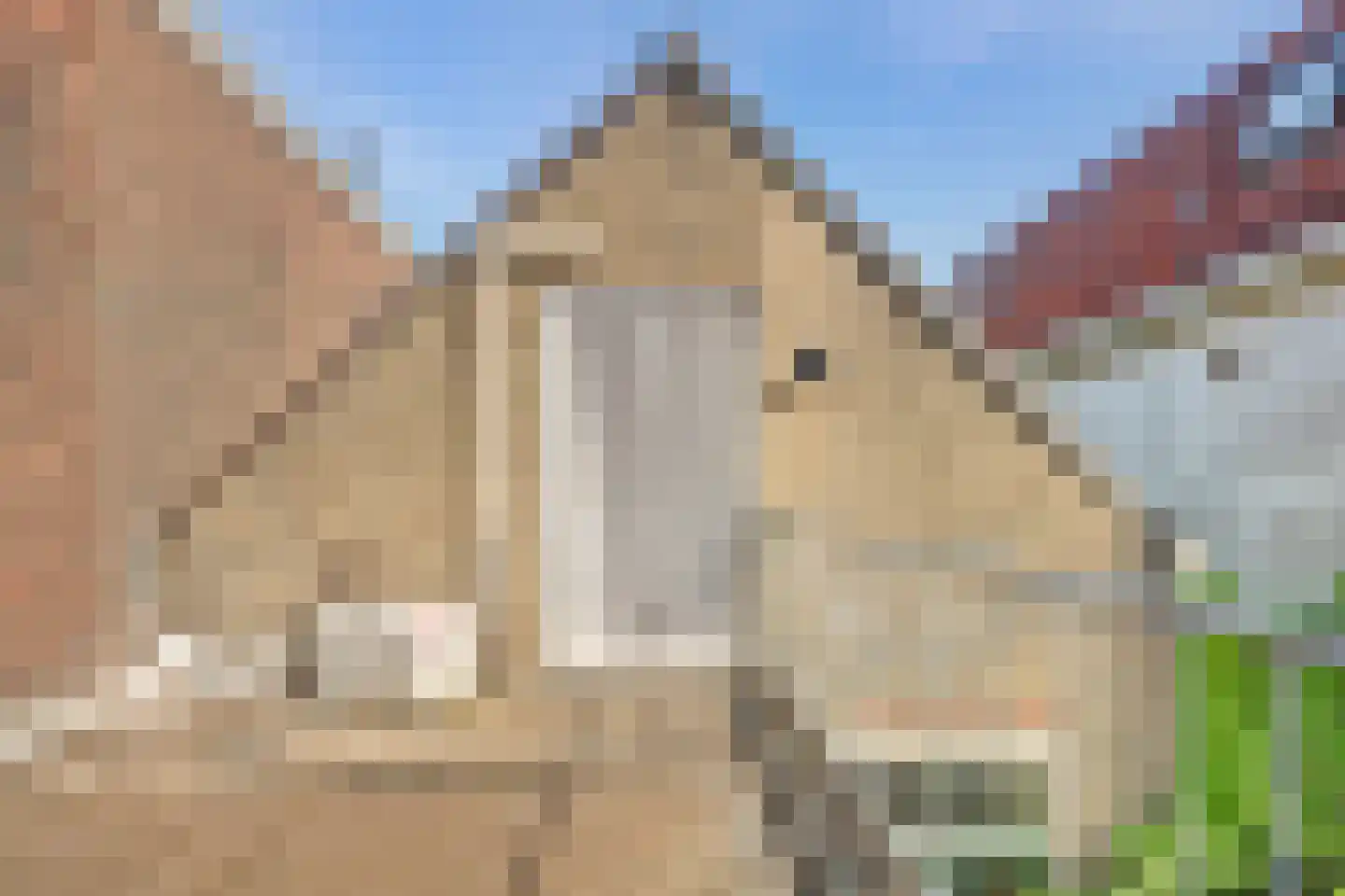 Oosterstraat 60 Vlaardingen thumbnail 27