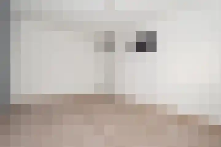 Oosterstraat 62 Axel thumbnail 9