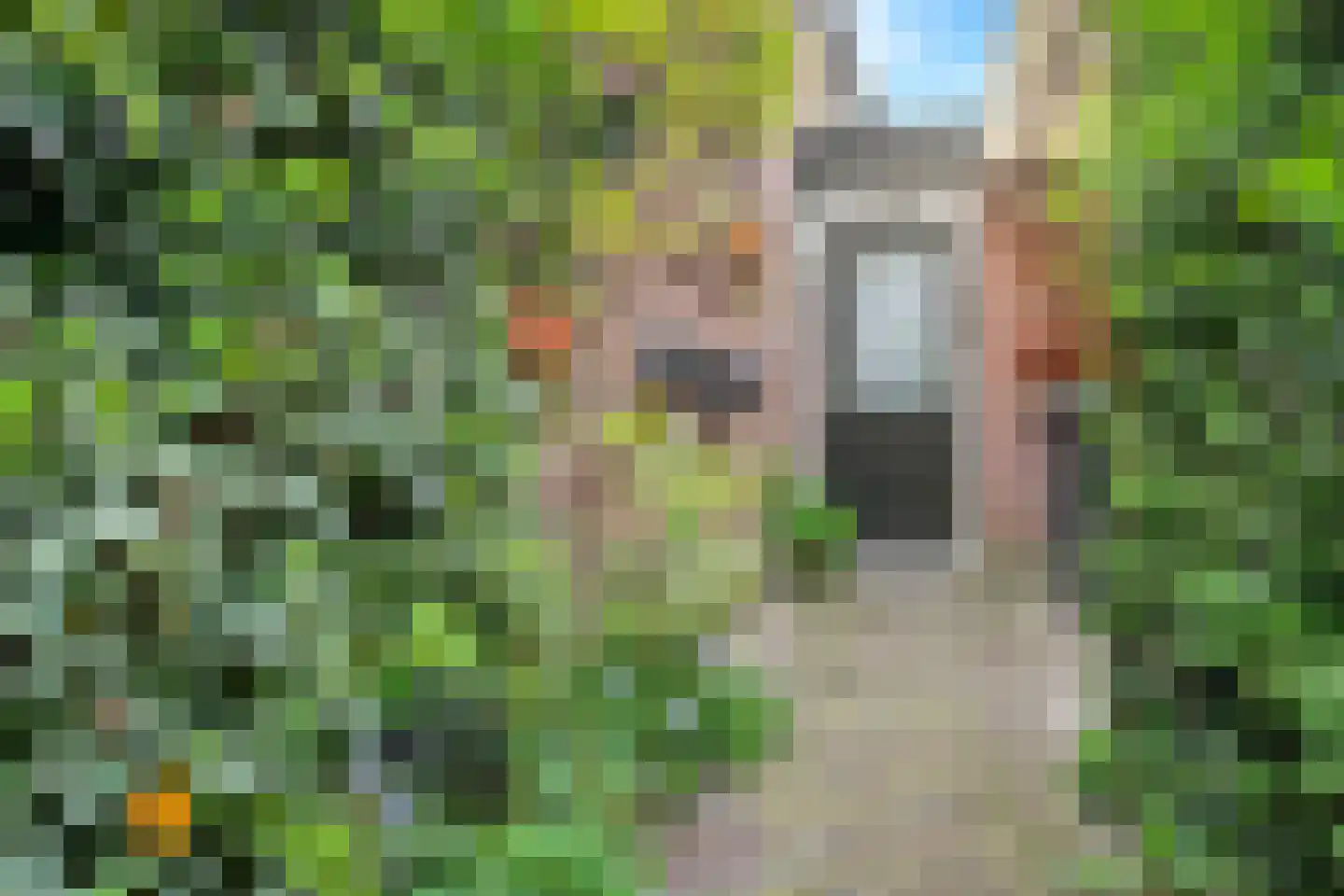 Oosterstraat 65 A Baarn thumbnail 20