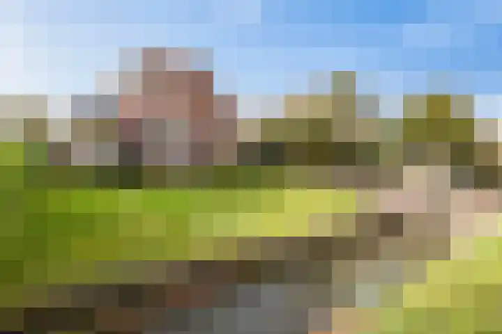 Oosterstraat 65 Warffum thumbnail 23