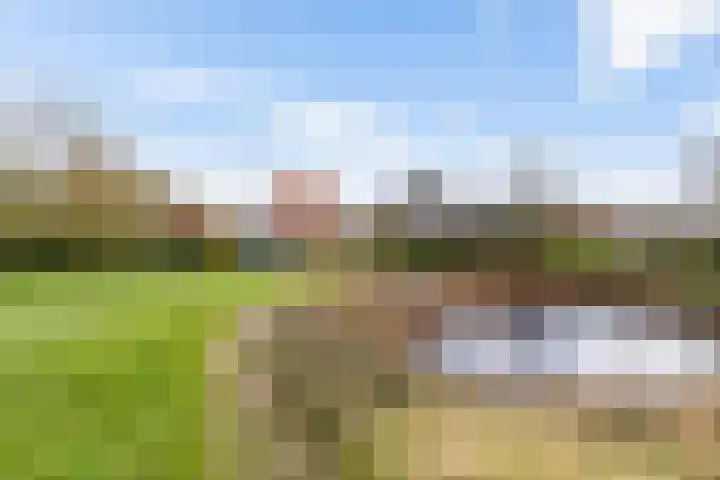 Oosterstraat 65 Warffum thumbnail 31
