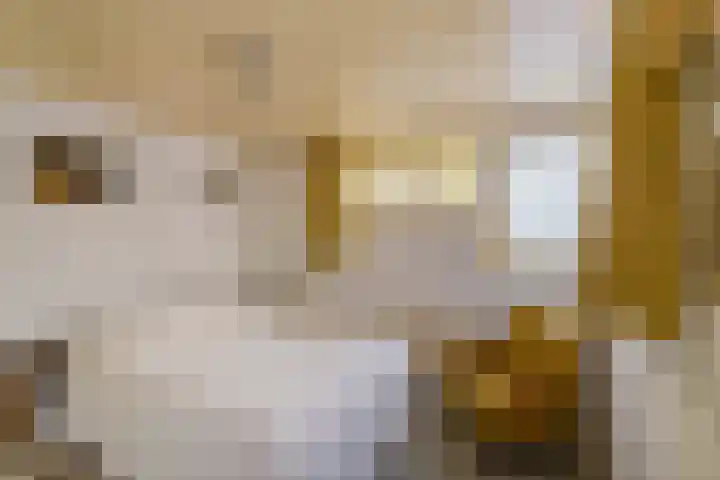 Oosterstraat 65 Warffum thumbnail 34