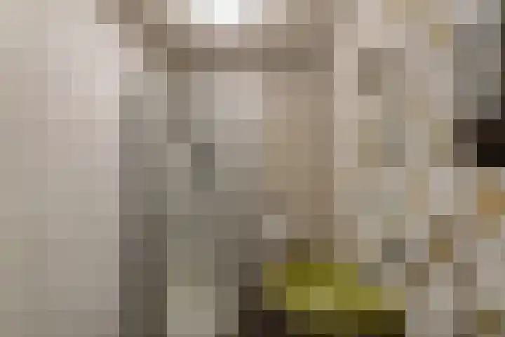 Oosterstraat 65 Warffum thumbnail 36