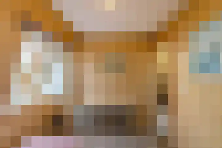 Oosterstraat 65 Warffum thumbnail 39