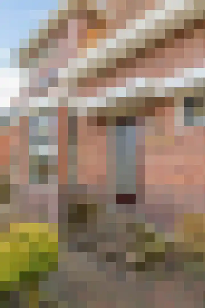Oosterstraat 65 Warffum thumbnail 5