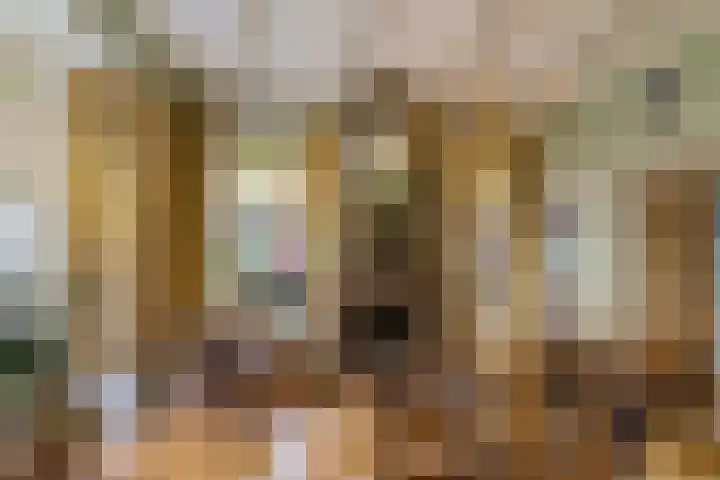 Oosterstraat 65 Warffum thumbnail 8