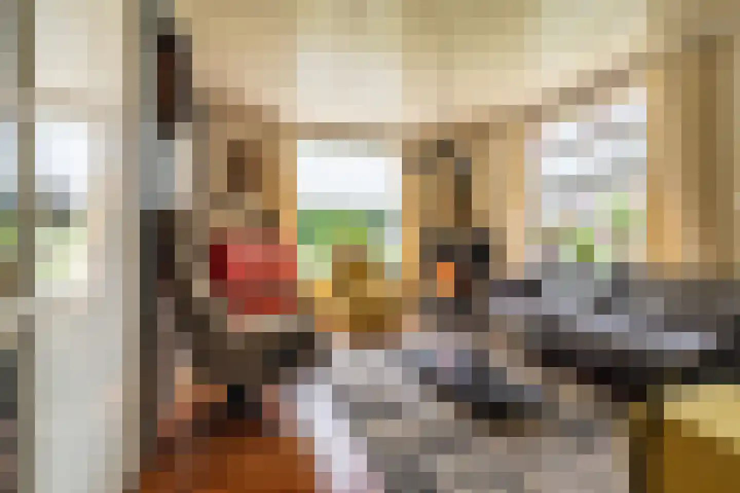 Oosterstraat 66 Blijham thumbnail 19